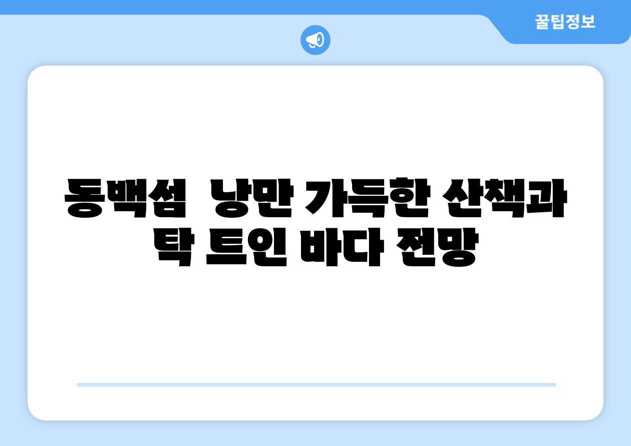 동백섬 낭만 가득한 산책과 탁 트인 바다 전망