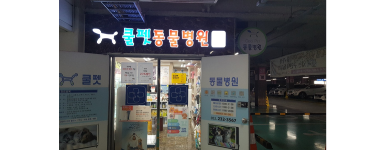 울산 동구 동물병원