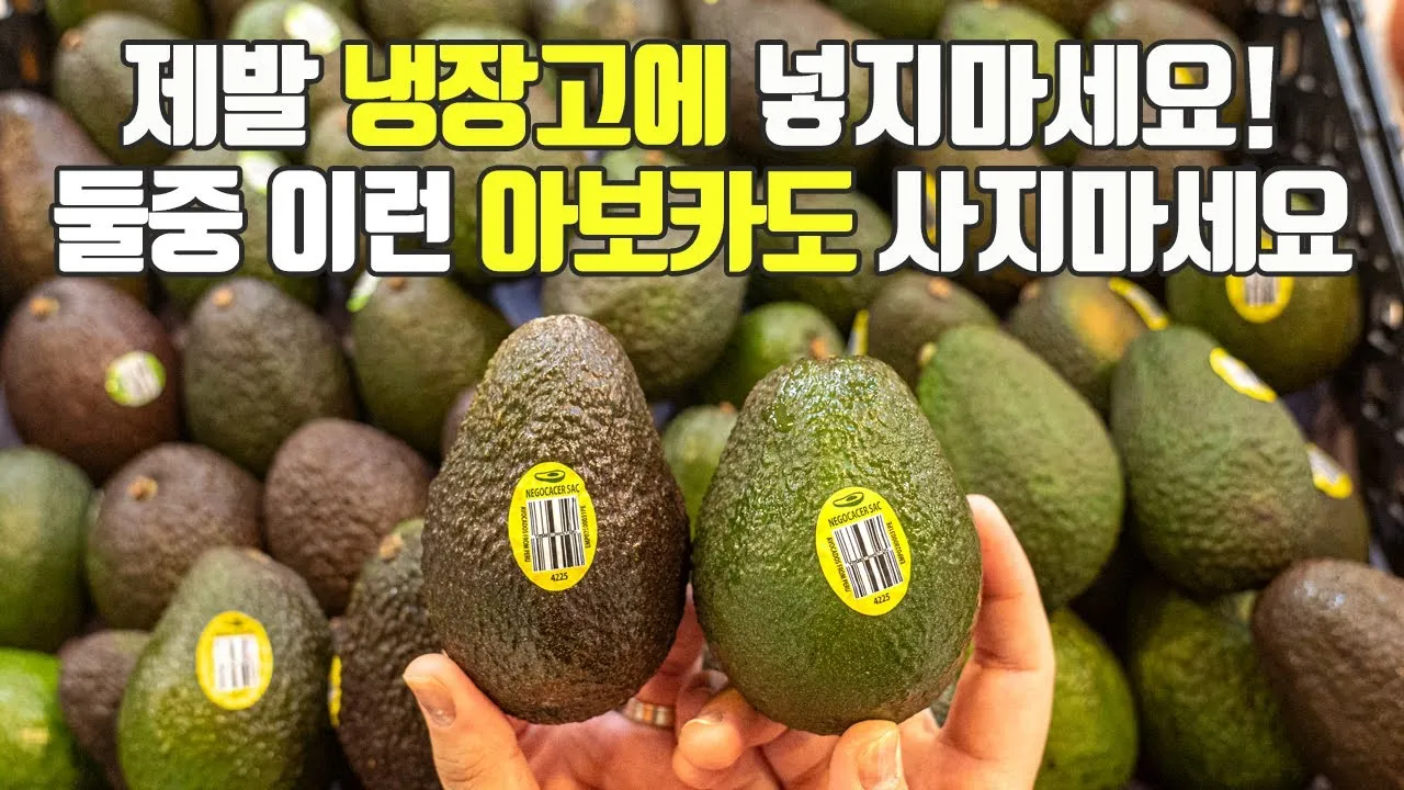 덜 익은 아보카도 먹으면 생기는 일 맛 소화 건강에 미치는 영향 총정리_5