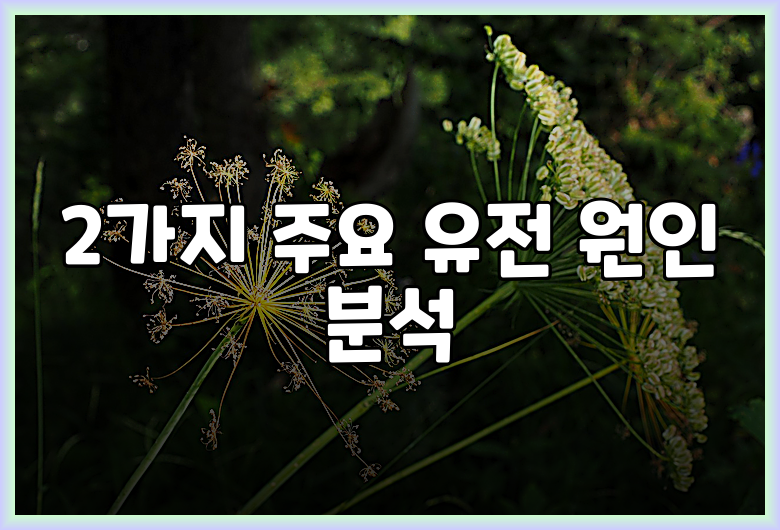 2가지 주요 유전 원인 분석