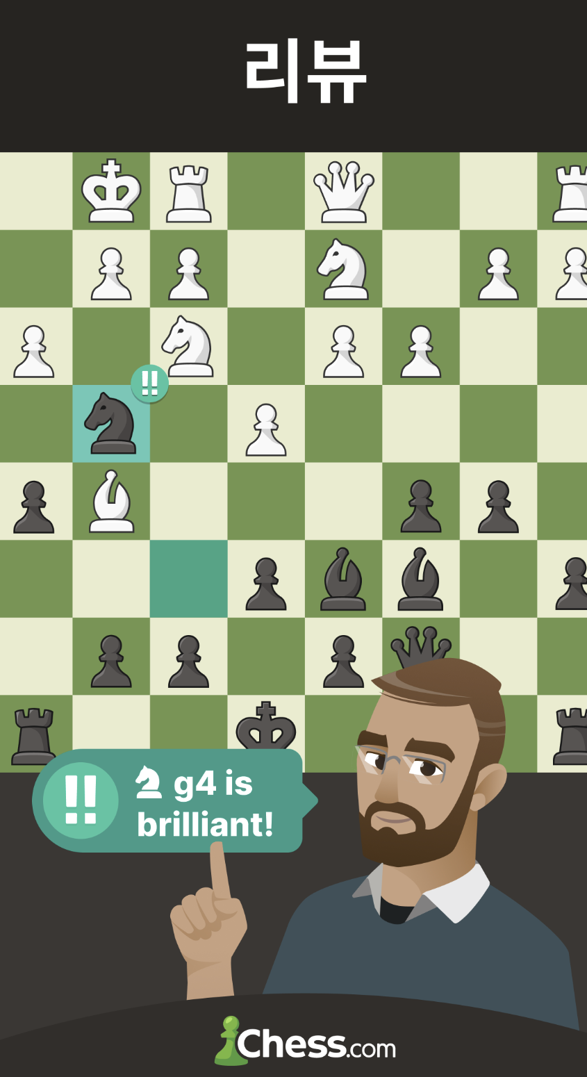 체스 pc 다운로드