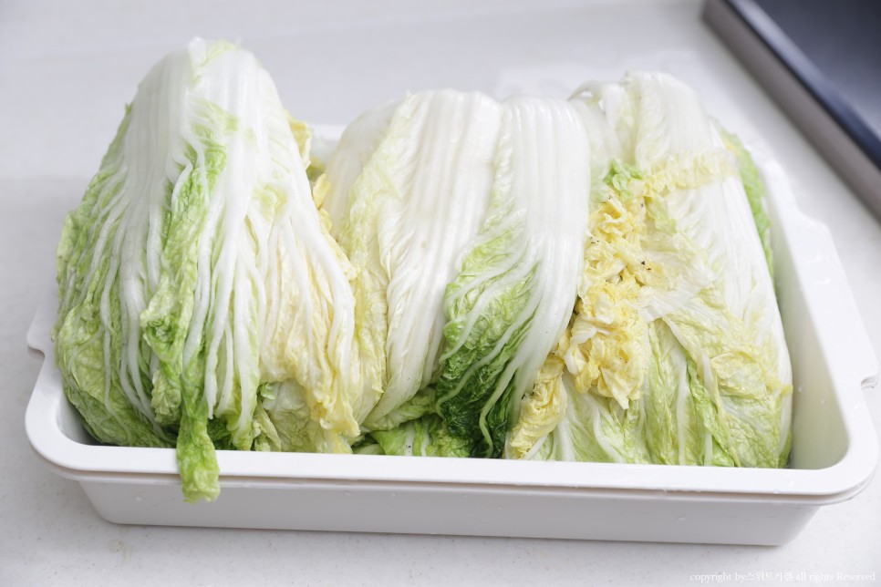 짠맛 김장봉투로 간단하게 속이 꽉 찬 배추절임 배추절임 시간 1