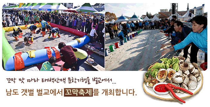  전남 보성 가볼만한곳: 11월 축제 “벌교꼬막축제 2019”