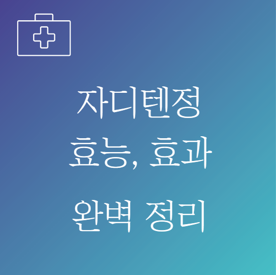 자디텐정