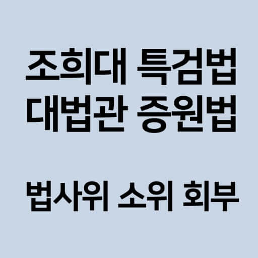 대법관 증원법 처리