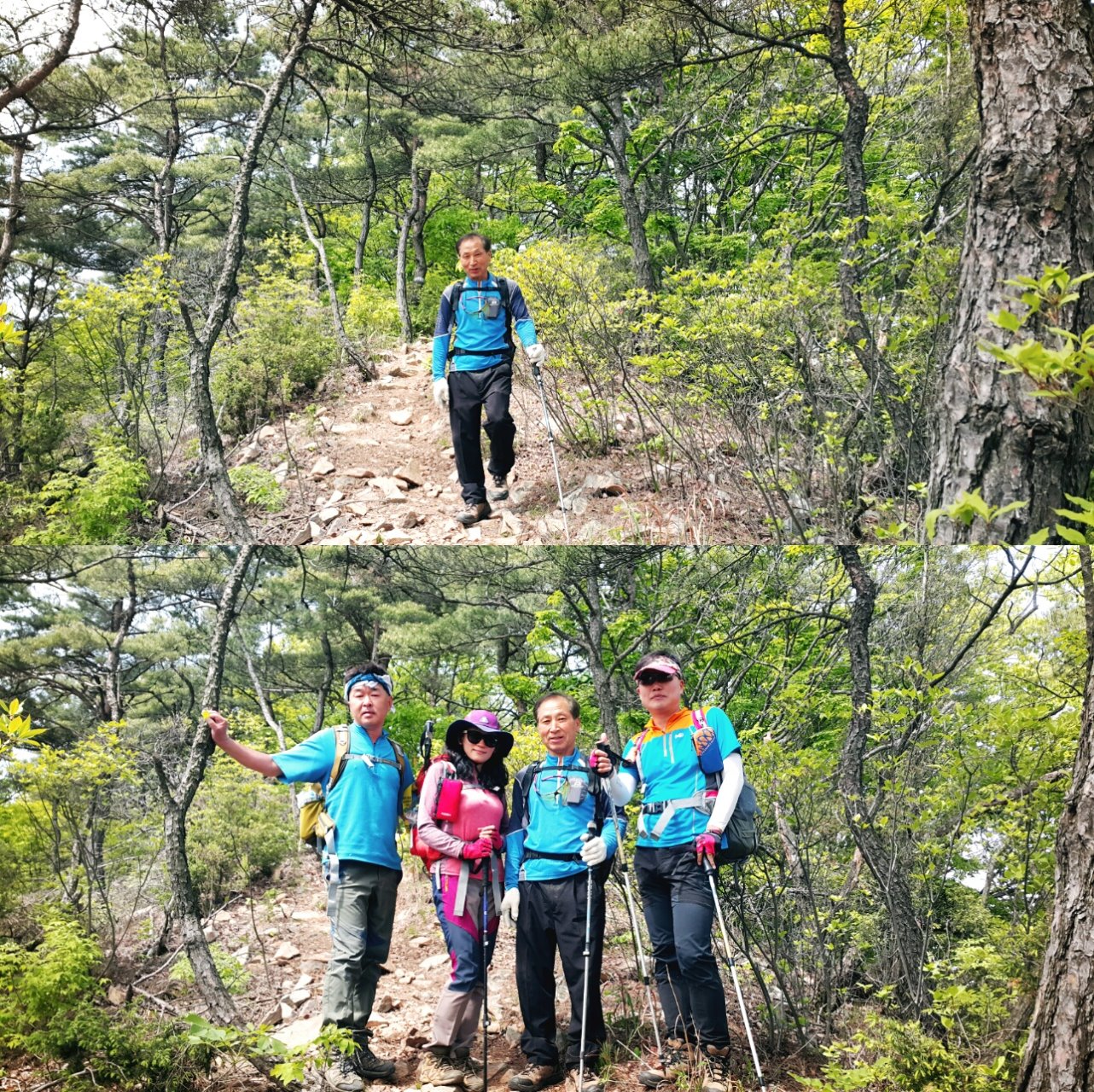 대전시경계종주 이미지