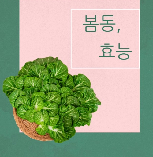  봄동 효능, 내 장바구니에 한번 넣어보실까요?