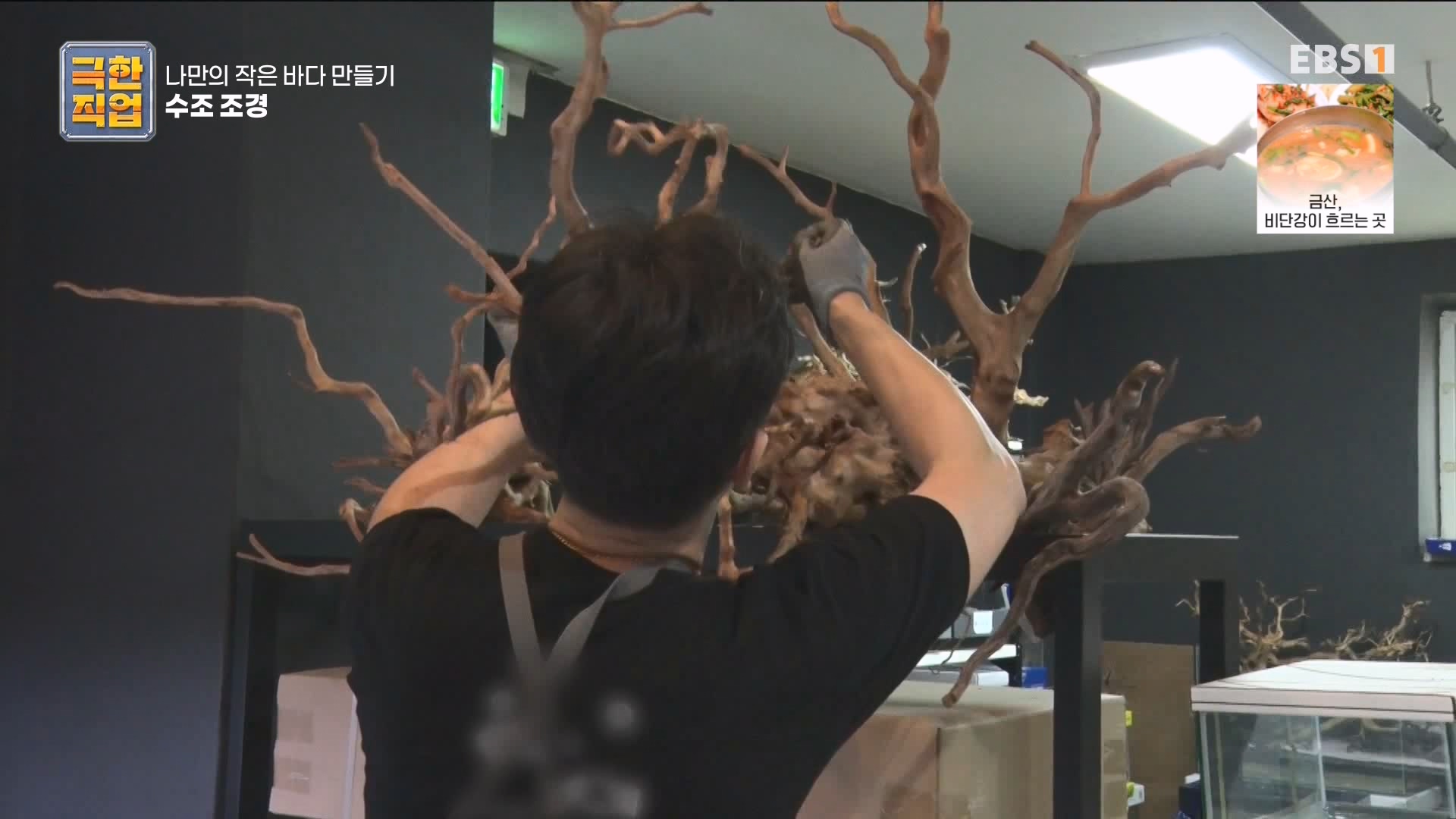 [극한 직업] 수조 조경.mp4_20230822_204225.695.jpg