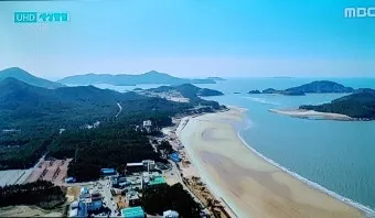 신안 임자도 튤립축제 기간 입장료 가볼만한 곳 총정리_15
