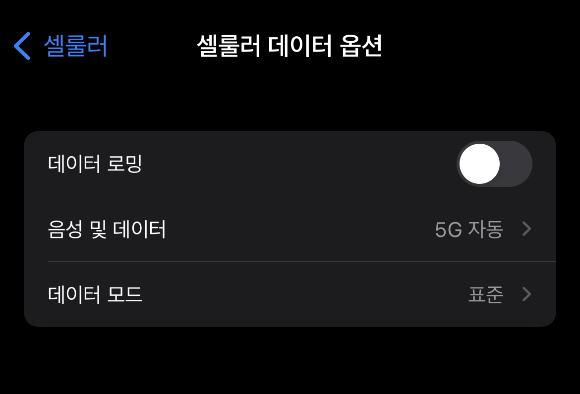 셀룰러 데이터 옵션