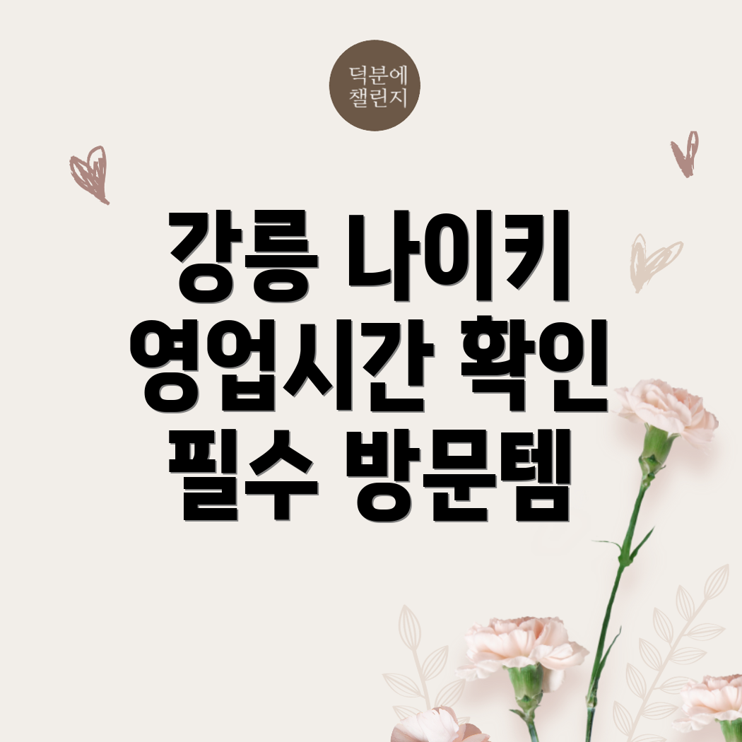강릉 나이키 매장