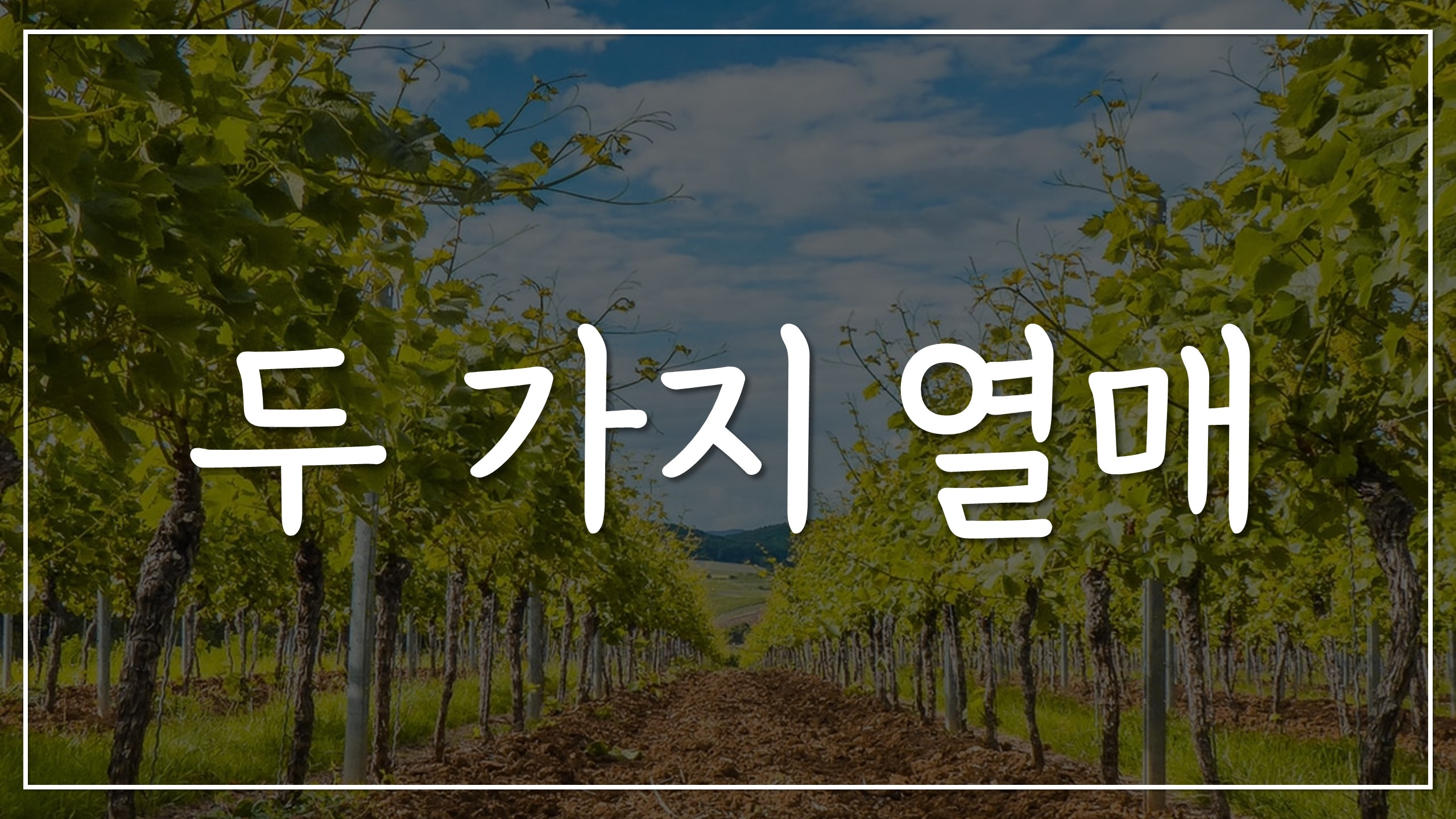  두 가지 열매