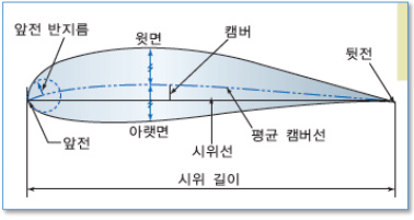 날개의 구조설명 단면