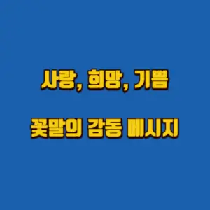  사랑, 희망, 기쁨 꽃말의 감동 메세지와 의미