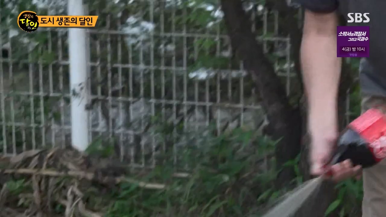 생활의 달인.E899.230732p-NEXT.mp4_20230801_213224.099.jpg