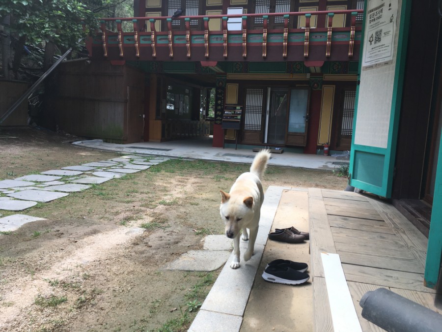 인생삶의 좋은 글귀 법상스님 눈부신 오늘 |