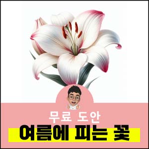 색칠공부도안