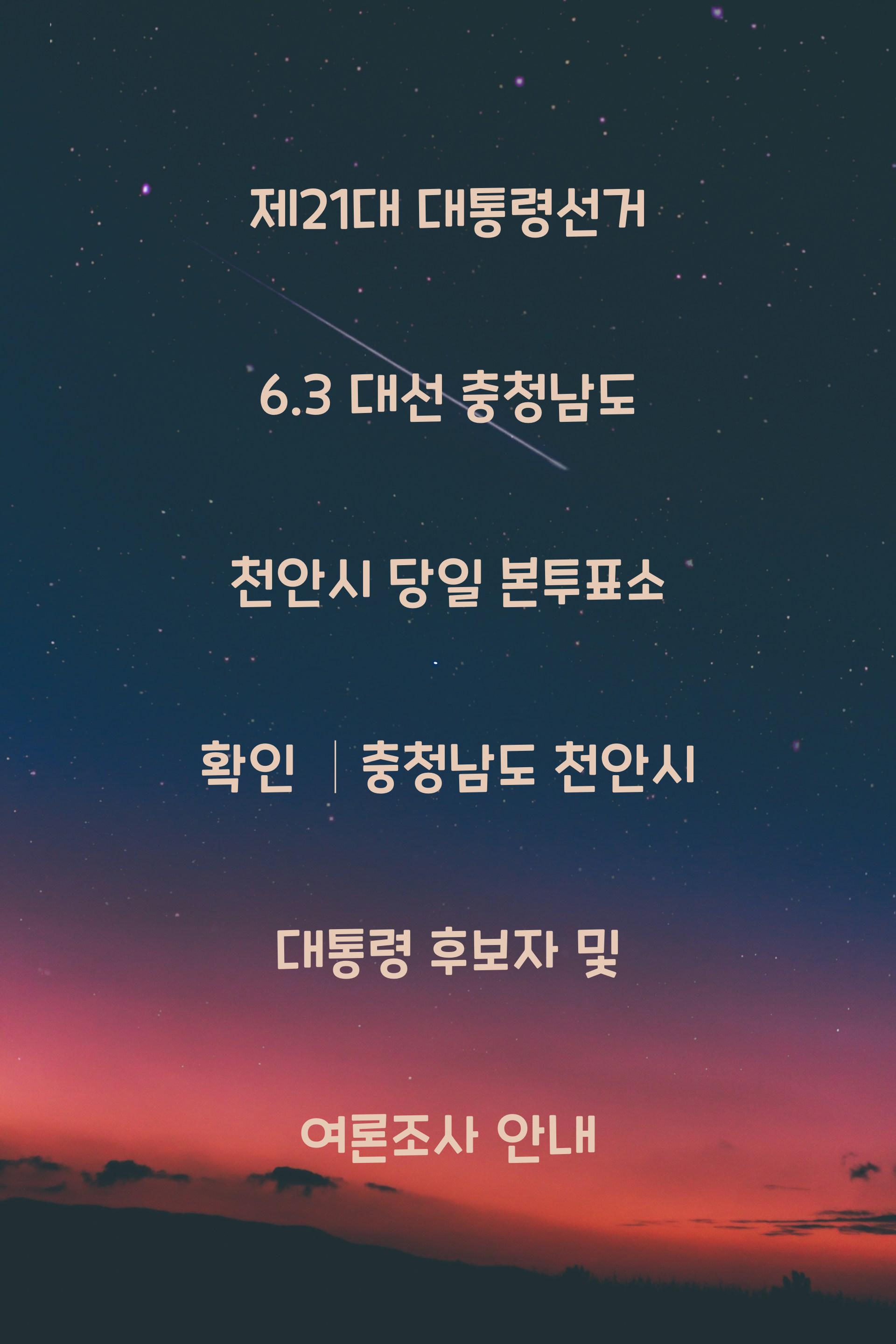 제21대 대통령선거 6.3 대선 충청남도 천안시 당일 본투표소 안내 │충청남도 천안시 대통령 후보자 및 여론조사 확인
