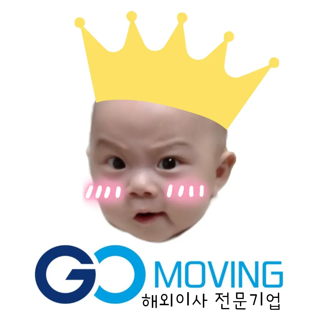  싱가포르 지오무빙(gomoving) 택배 이벤트 1 + 1