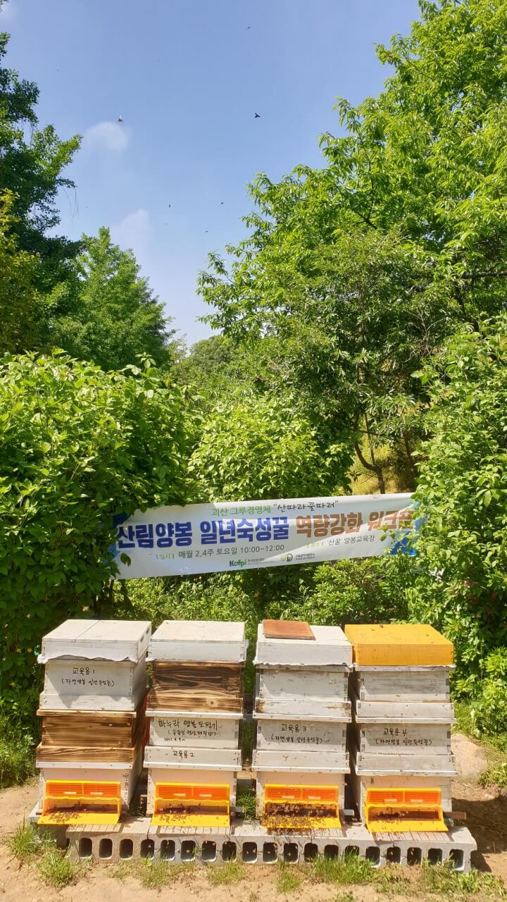 6시내고향 충북 괴산 5無 산림양봉의 명품 꿀 주문방법 사계닮은꿀 &amp; 허니버블공방 꿀비누 주문방법