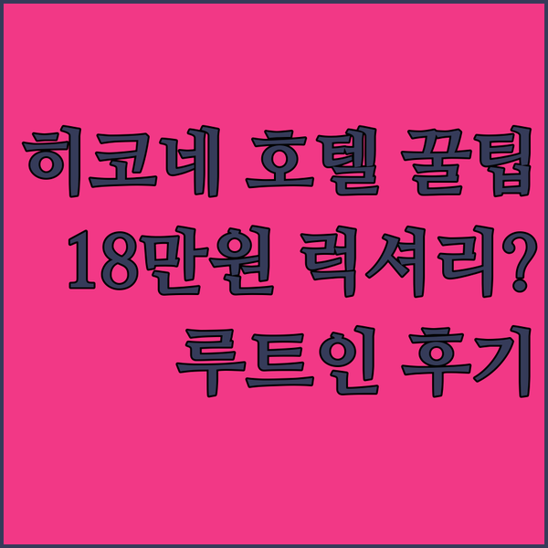 히코네 호텔 가성비 끝판왕 루트 인 