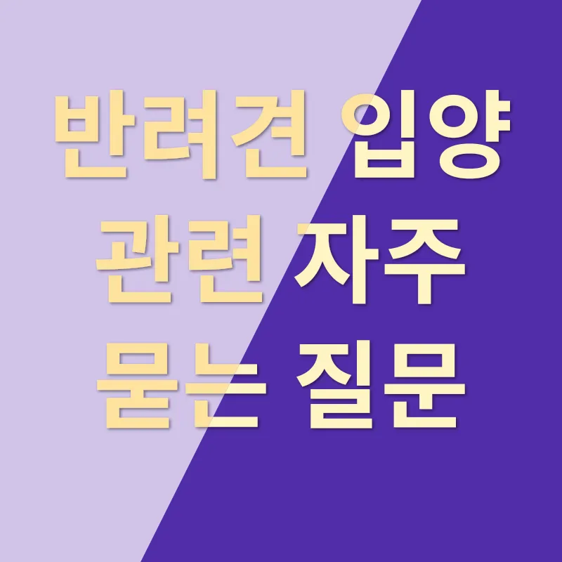 반려견 입양_4