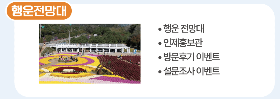 인제 가을꽃 축제 일정&#44; 팁 총정리