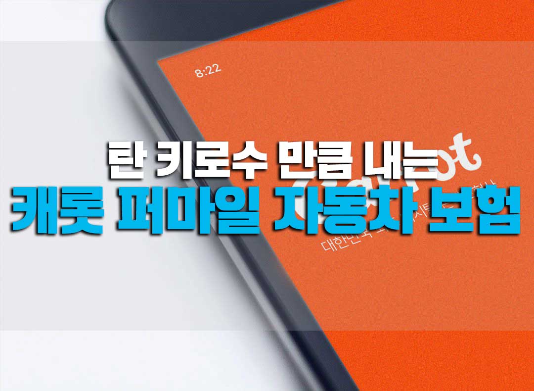  캐롯 퍼마일 자동차 보험