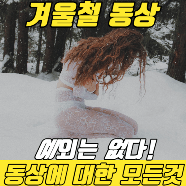 동상안내-사진