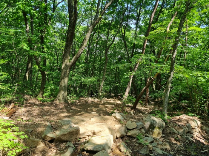 등산로