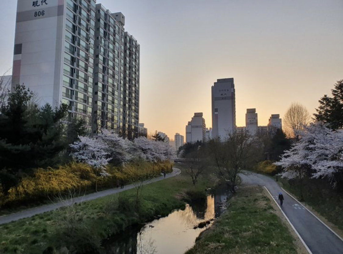  경기도 성남시 분당 야탑 장미마을 장미현대 재건축, 리모델링 분석 - PC공법, 야탑역 역세권, 여수천뷰