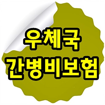  정부 우체국 간병비 보험과 치매 보험 시 체크 사항 알아보기
