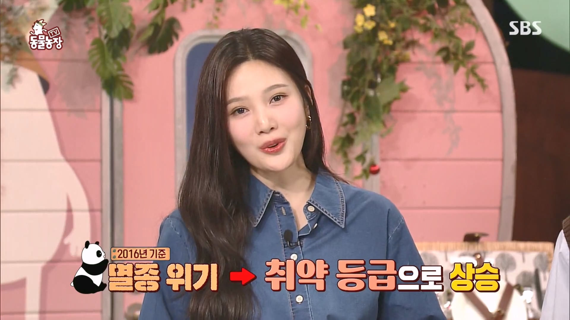 TV 동물농장.E1160.240225p.H264-F1RST.mp4_20240225_162735.492.jpg