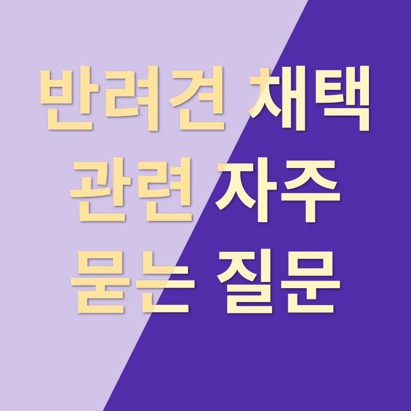 반려견 채택_4