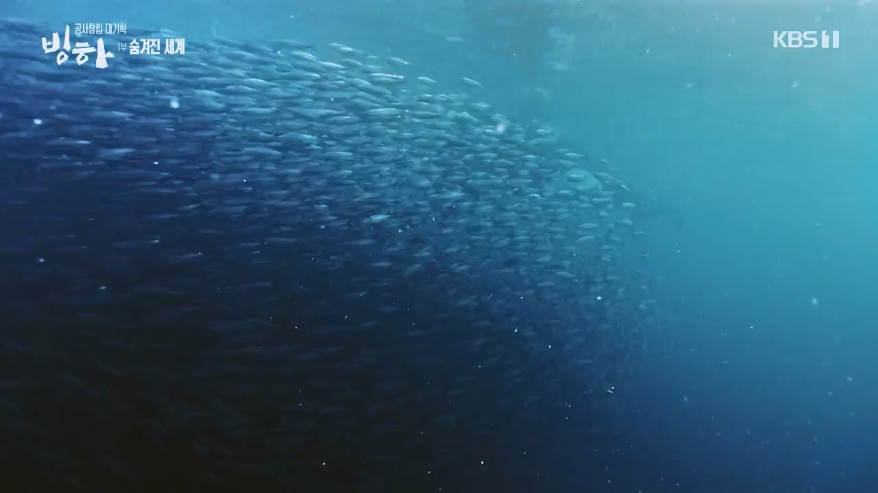 KBS 대기획 3부작 빙하.E01.240308p-NEXT.mp4_20240310_145929.624.jpg