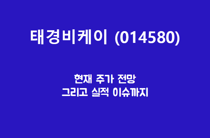  태경비케이 (014580) 주가, 실적, 전망, 기업분석