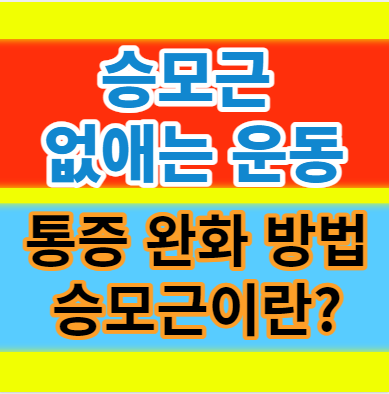  승모근 없애는 운동과 통증을 완화하는 방법 알아보자