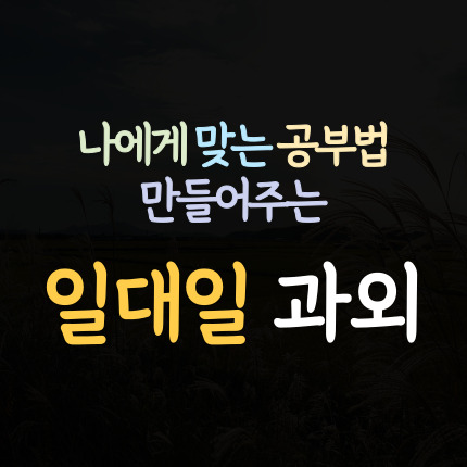  시흥대야 고등 수학과외 대야동 중학생 영어과외 초등 국어 일대일 전문 내신 대비 수능 준비 예비중 예비고