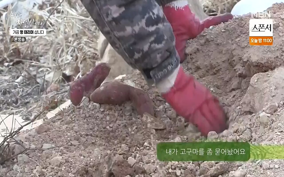 나는 자연인이다.E493.220317p-NEXT.mp4_20220317_172853.032.jpg