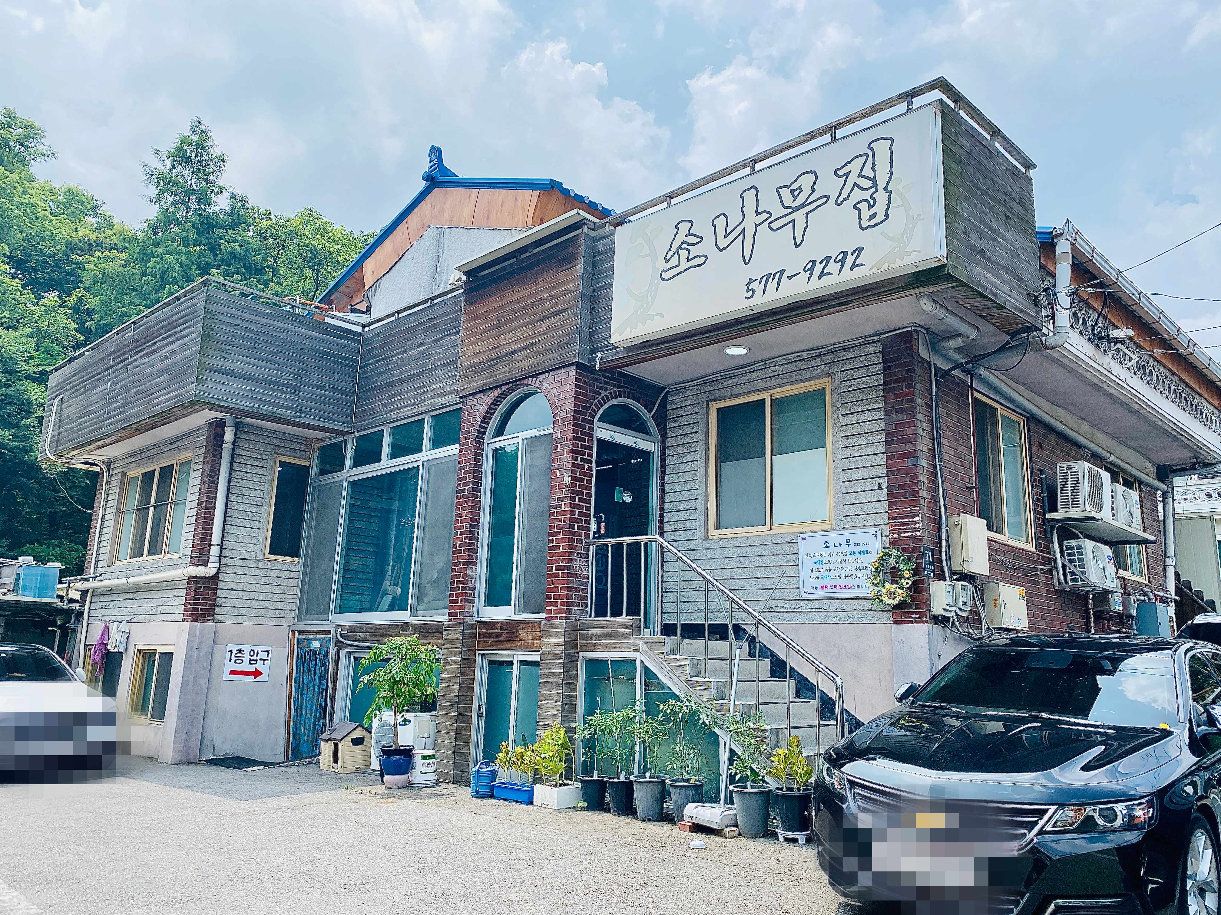 우면동 소나무집