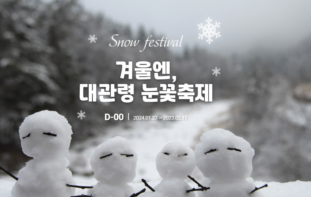 대관령눈꽃축제 기본정보 입장료 프로그램 주차장