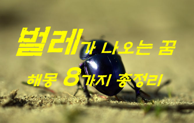  벌레꿈 해몽 8가지 총정리