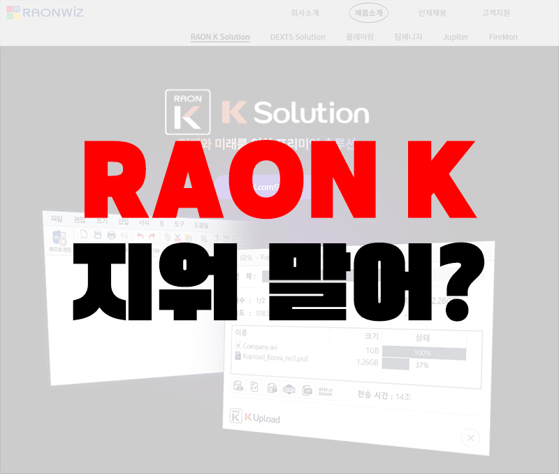 raon_k_2018