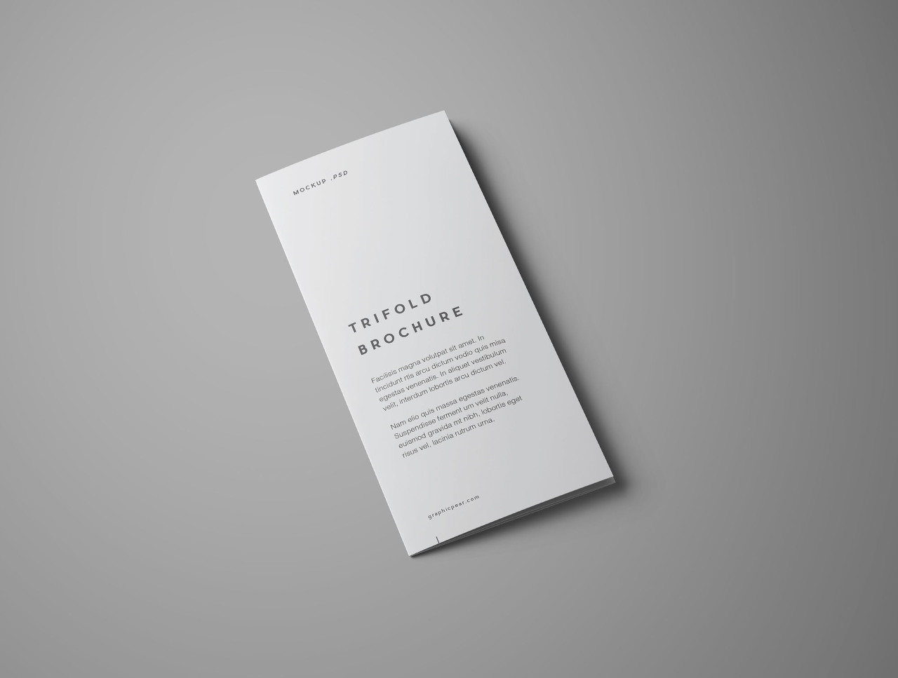 Free Advanced Trifold Brochure Mockup – 7 Angles