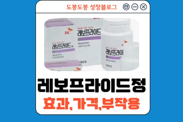 레보프라이드정 안내 이미지