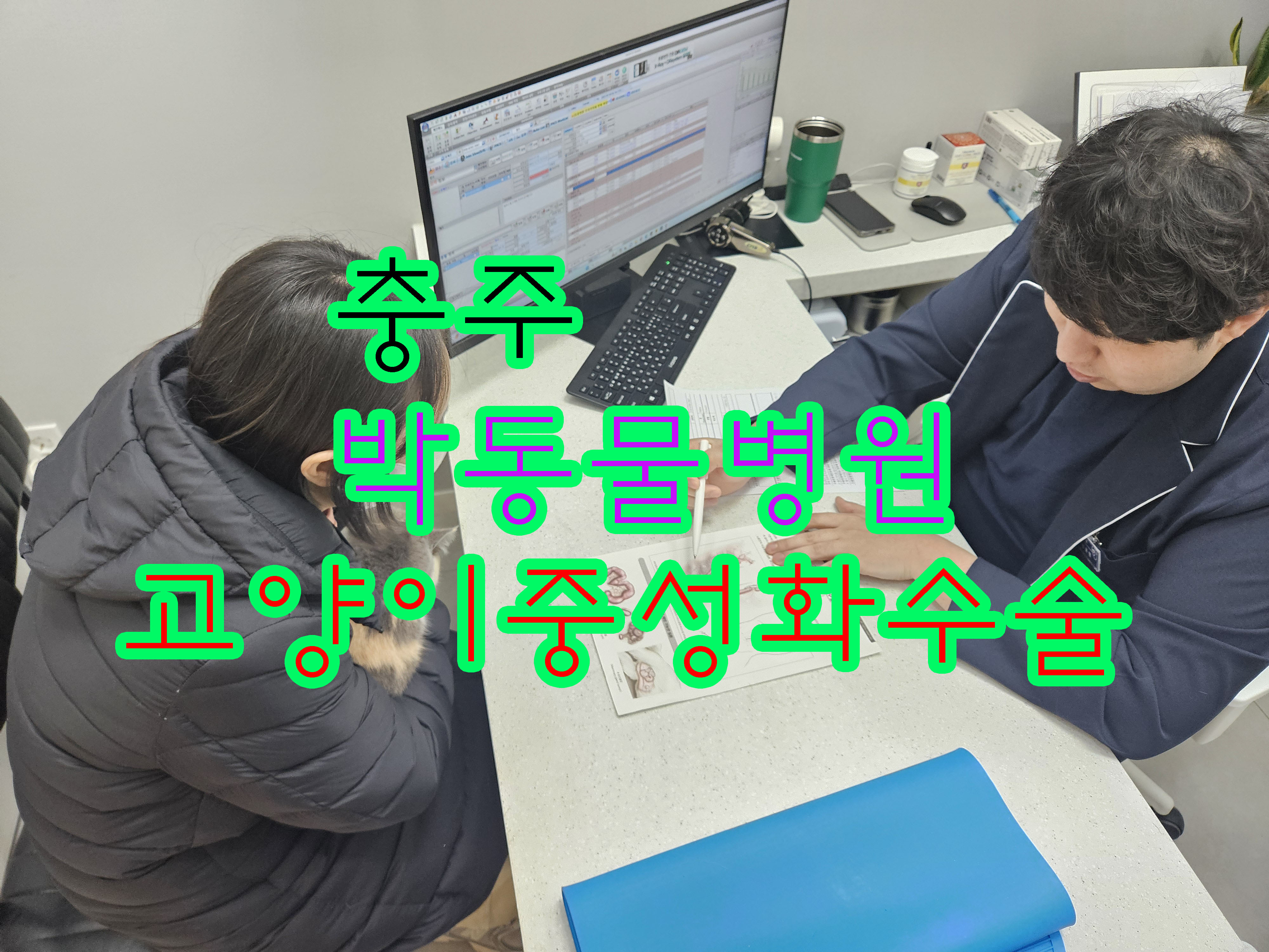 충주동물병원
충주 박동물병원
충주 중성화수술 잘하는 동물병원
박동물병원
충주 박동물병원