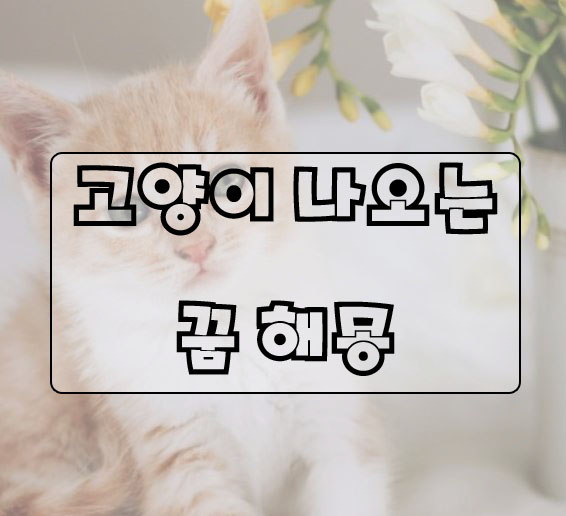  고양이 꿈 해몽