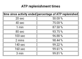 시간당-ATP회복