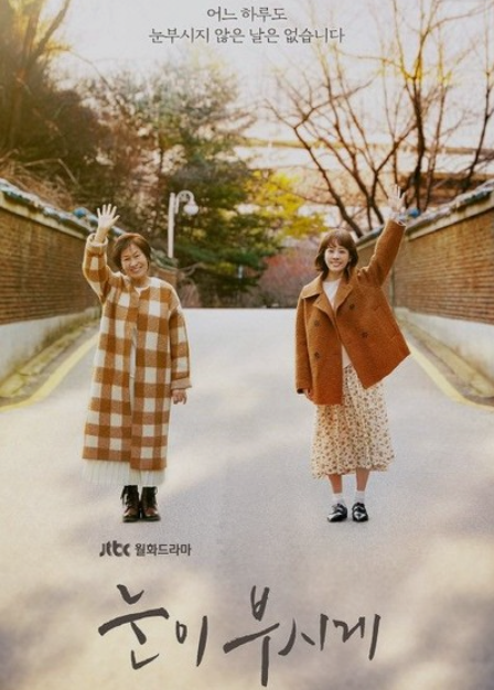  <드라마 리뷰> 눈이 부시게