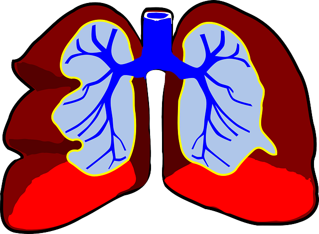  폐부종 (Pulmonary Edema) : 폐부종의 원인과 증상, 심장성 폐부종, 급성 폐부종, 호흡곤란 폐부종
